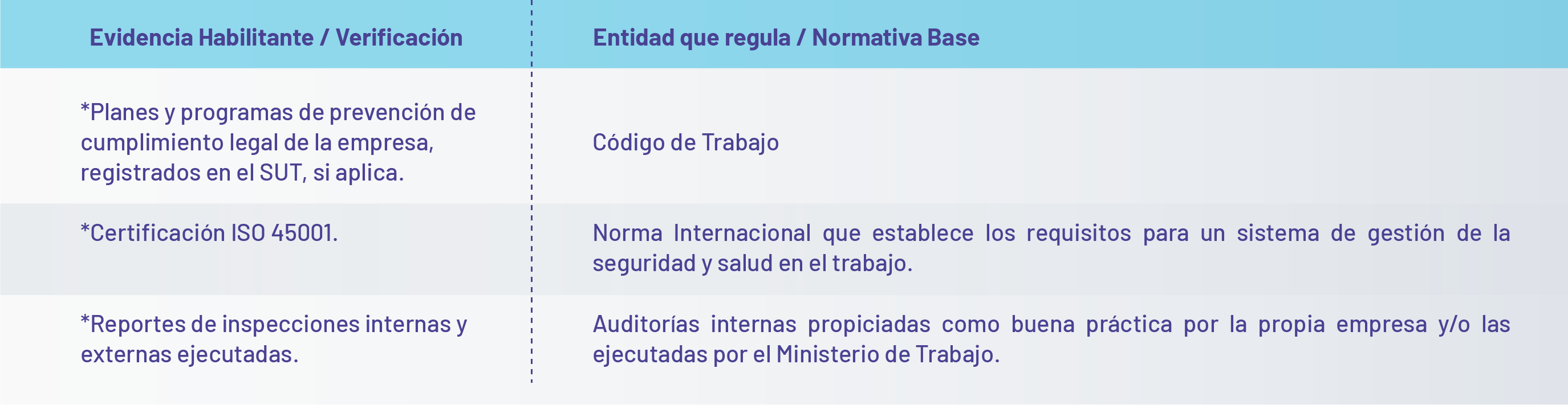 seguridadSaludOcupacional